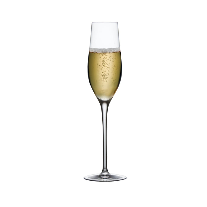 Champagne Glass