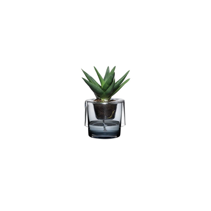 Plant Pot