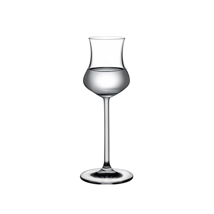 Grappa Glass