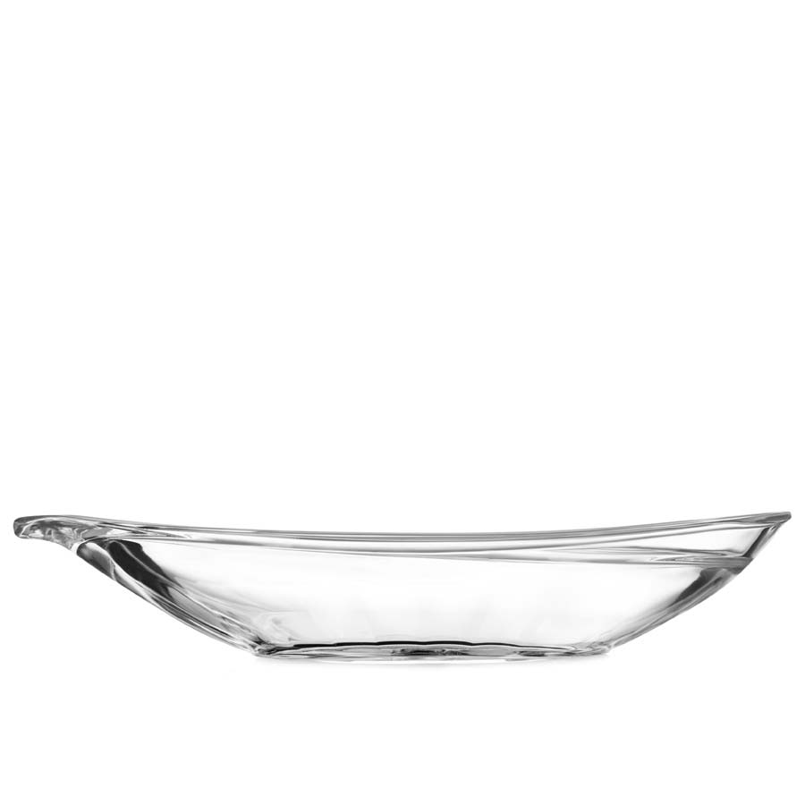 Dish